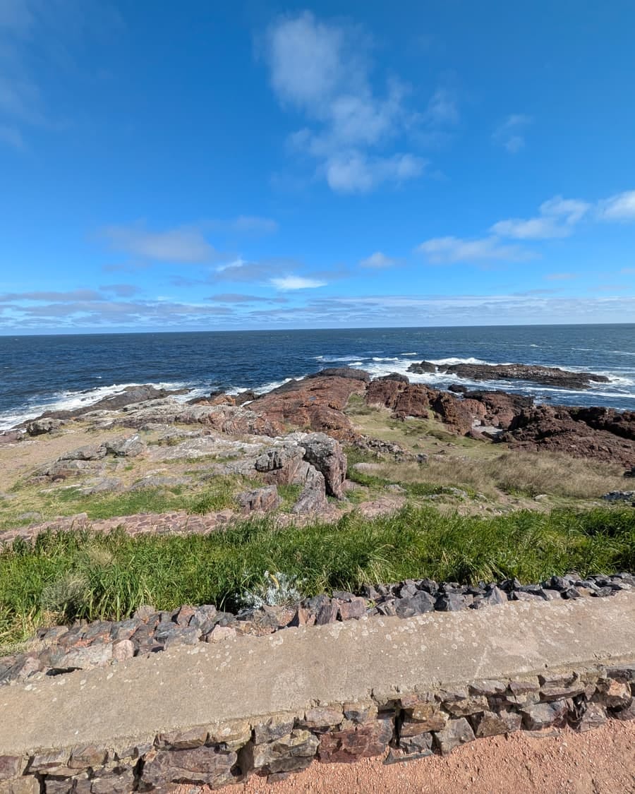 Reddish rocks and grass on the coast near Punta del Este, the sea breaking in front