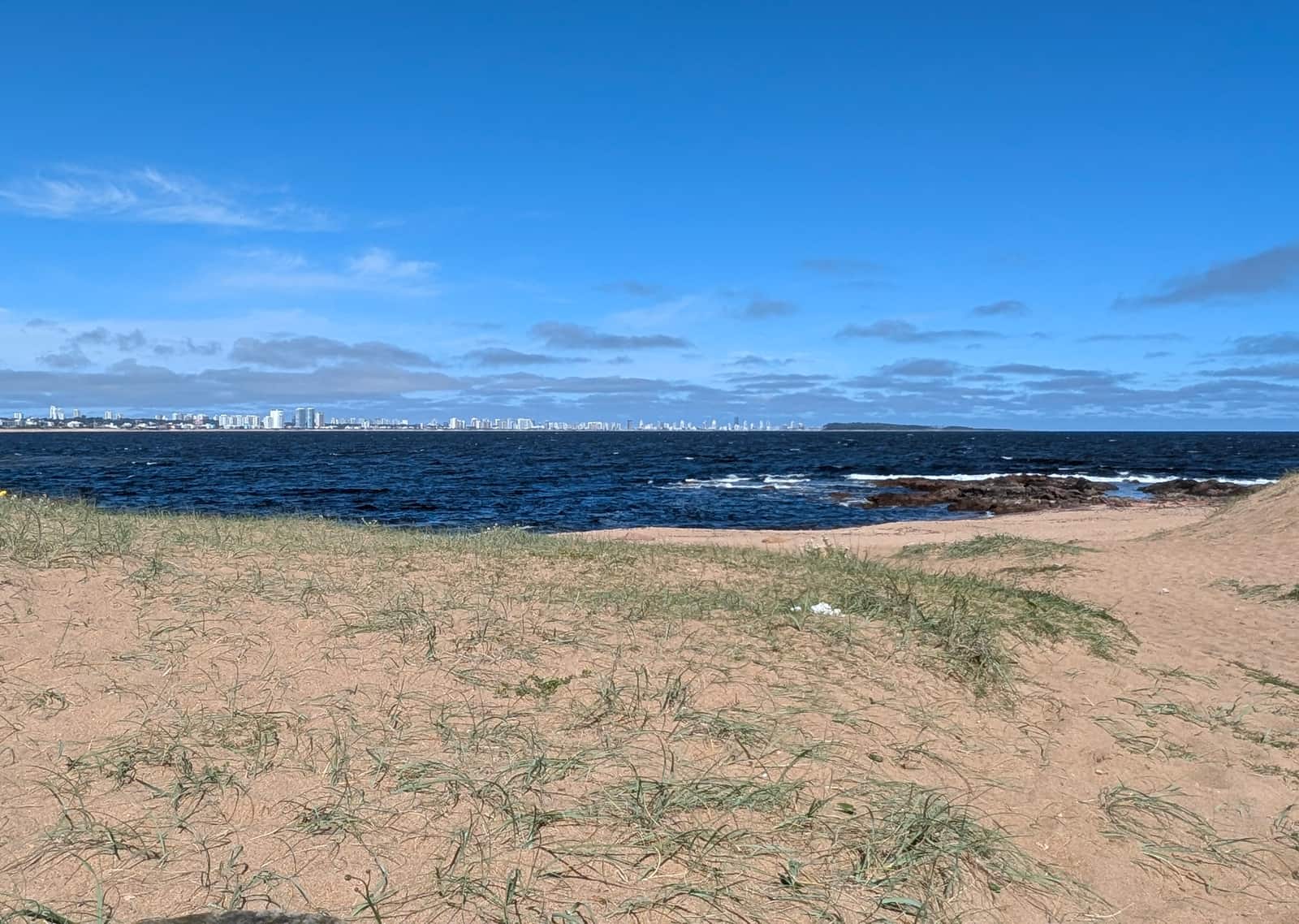 Grassy dunes by the sea, with the Punta del Este skyline on the horizon.