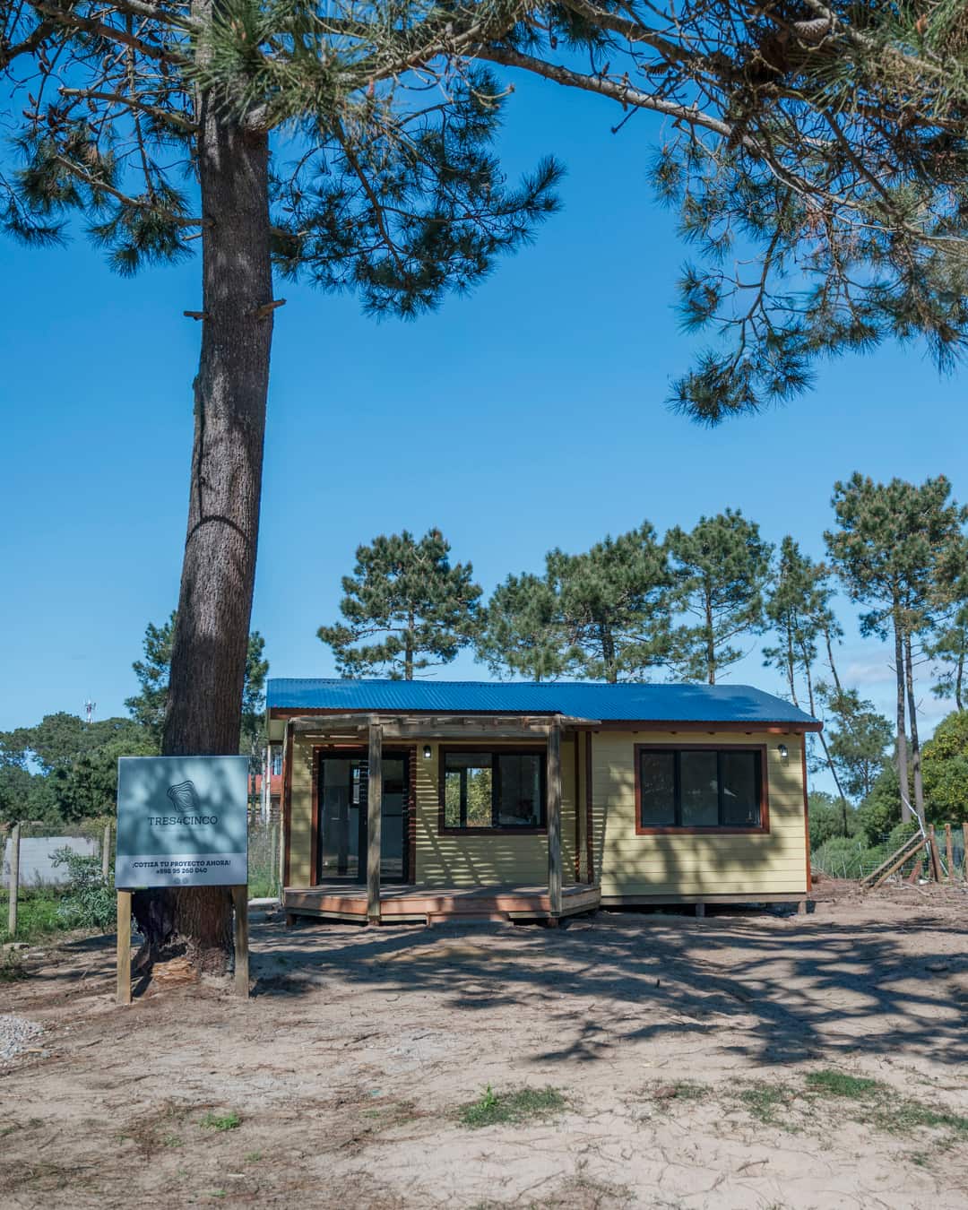The whole house from a distance under a tall pine: yellow facade, blue roof, pergola.
