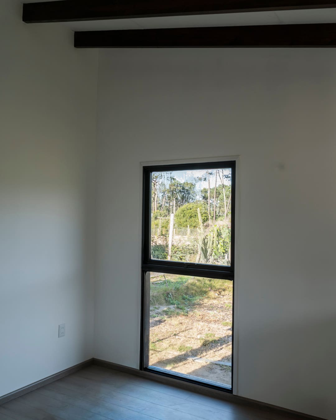 Room with a tall, narrow window looking out to the pines.