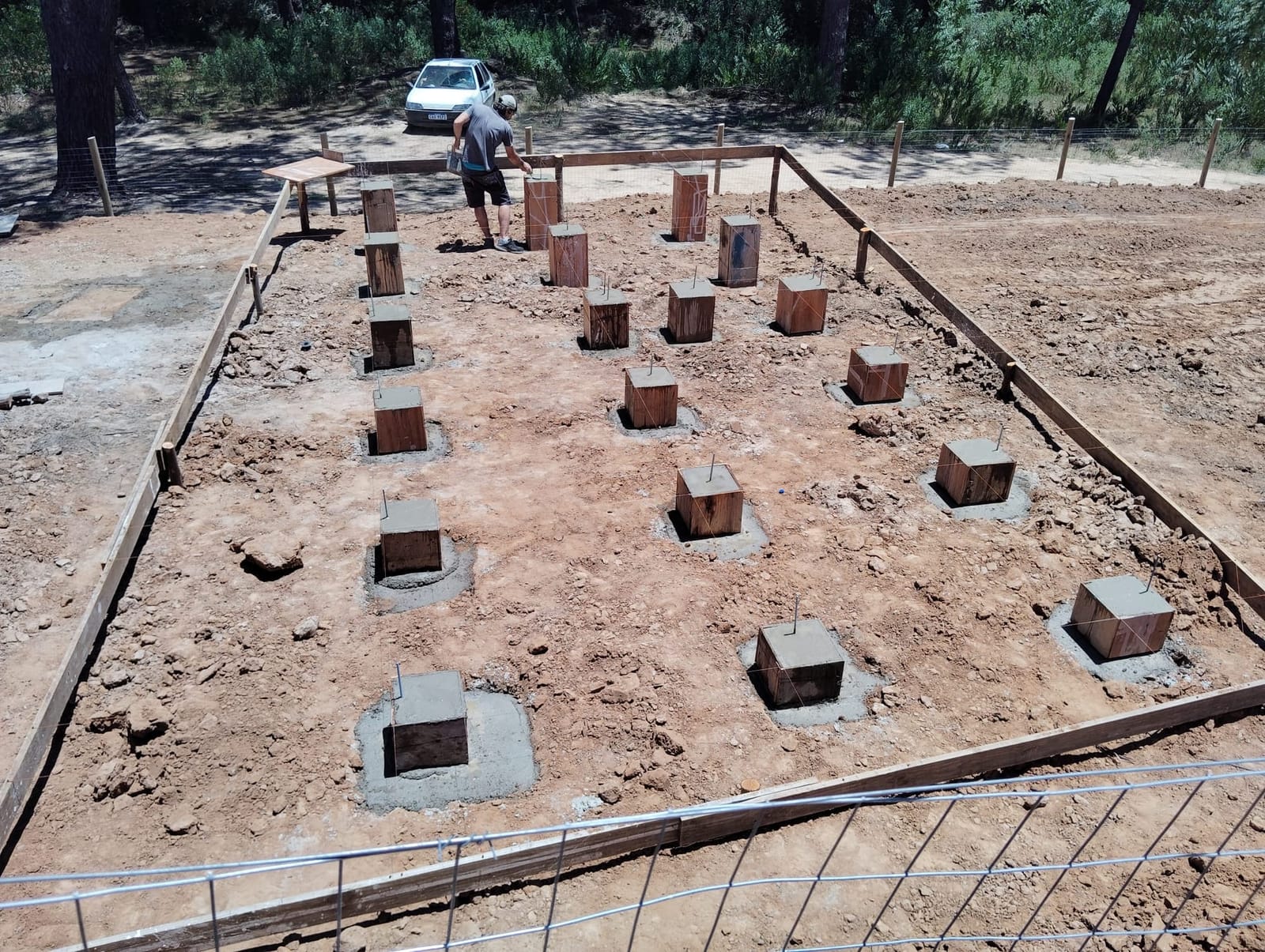 Complete foundation grid seen from a distance, pine forest in the background.
