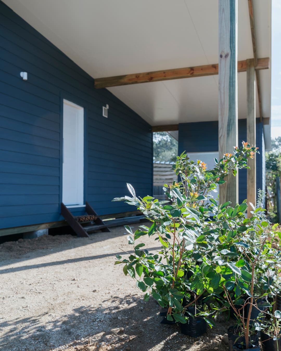 White door with a small stair in the blue facade under the overhang, young potted plants in front.